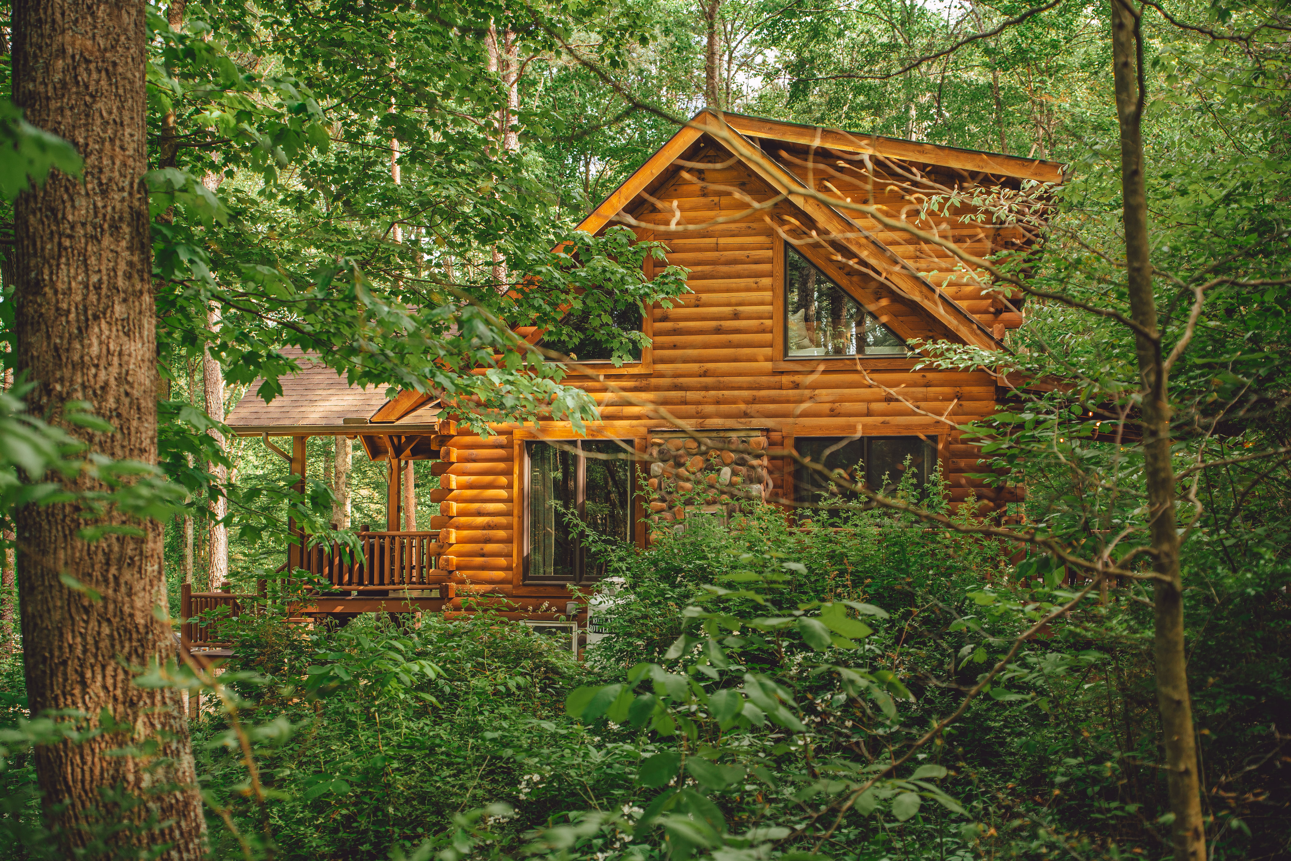 The side of the log cabin glimpsed through green woodland