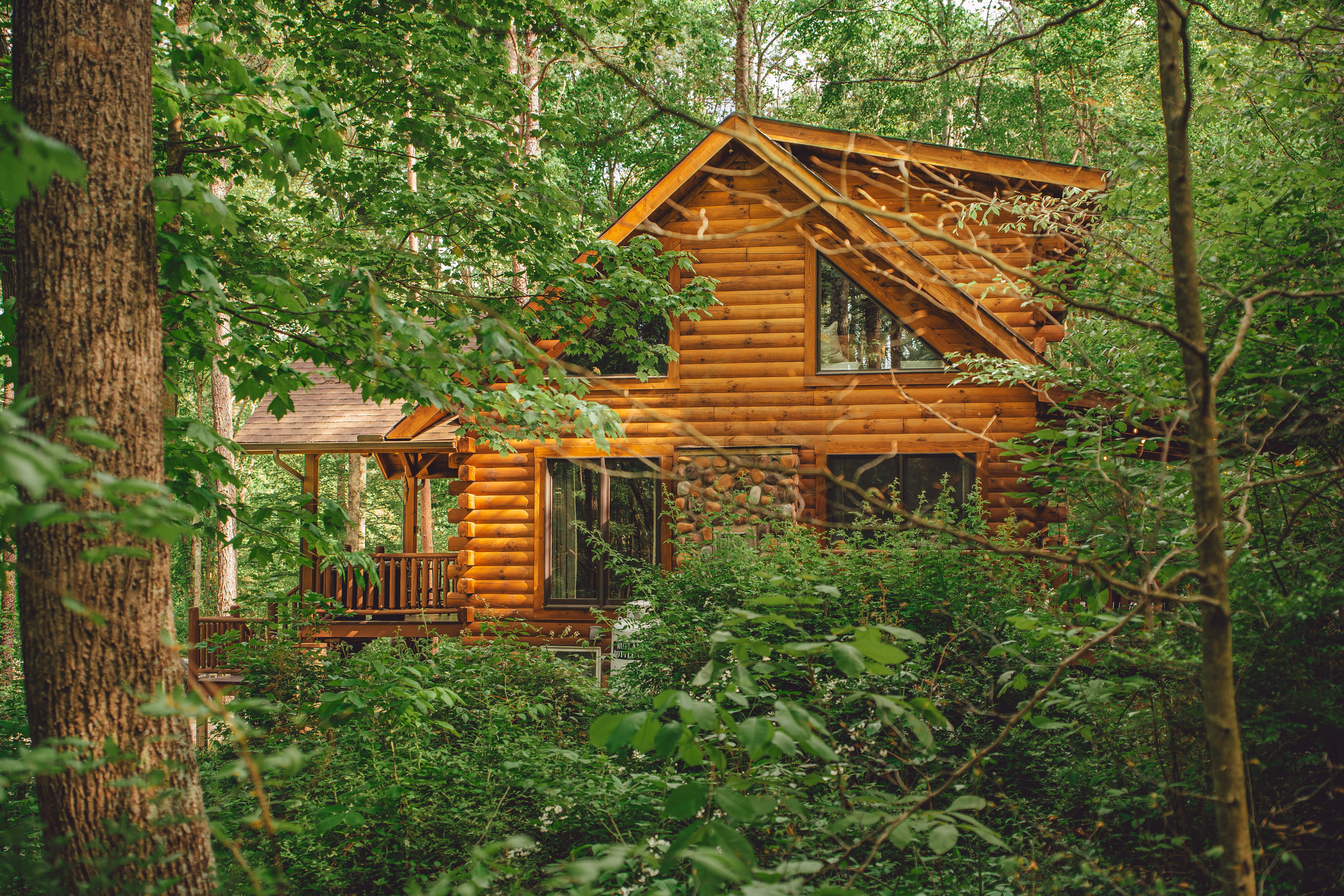 The side of the log cabin glimpsed through green woodland